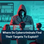Where Do Cybercriminals Find Their Targets