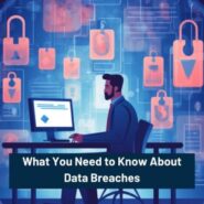 Data Breaches