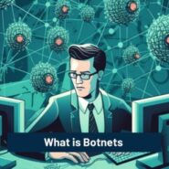 What is Botnet